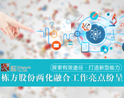 探索有效途徑，打造新型能力——棟方股份兩化融合工作亮點(diǎn)紛呈