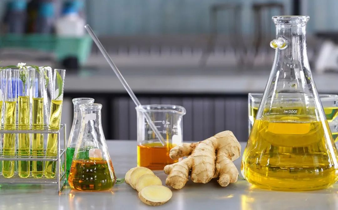 棟方股份榮獲2021年廣東省科技進(jìn)步獎(jiǎng)，科研創(chuàng)新實(shí)力再獲認(rèn)可！